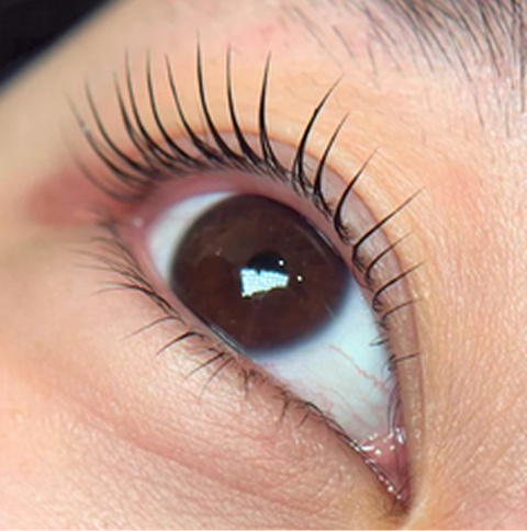 Lash Lift Coréen vs Lash Lift Traditionnel : Quelle est la différence ?