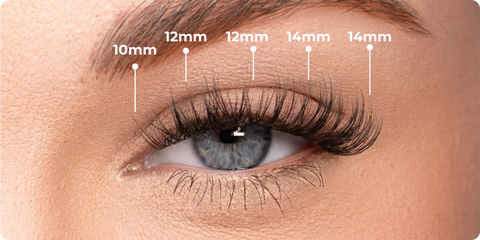 Best Lash Mapping Styles for Different Eye Shapes