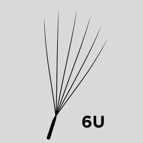 6U Collection