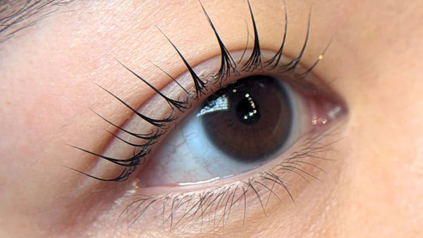 Korean Lash Lift Training
