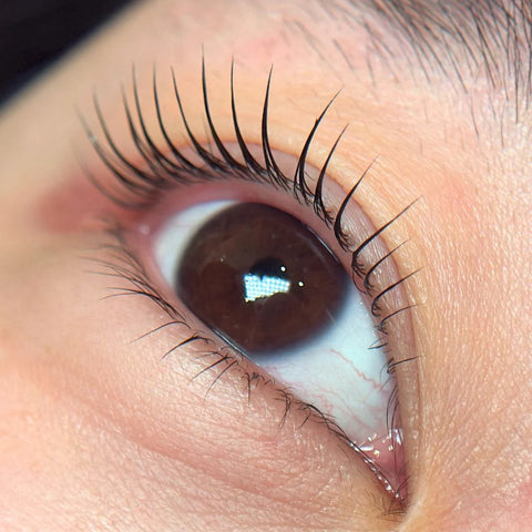 THE LASH SHOP x TINI - KOREAN LASHLIFT COURSE IN MONTREAL