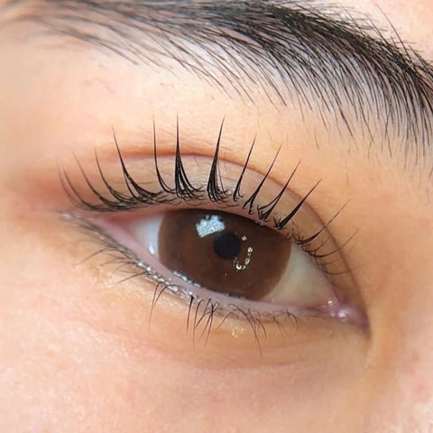 THE LASH SHOP x TINI - KOREAN LASHLIFT COURSE IN MONTREAL