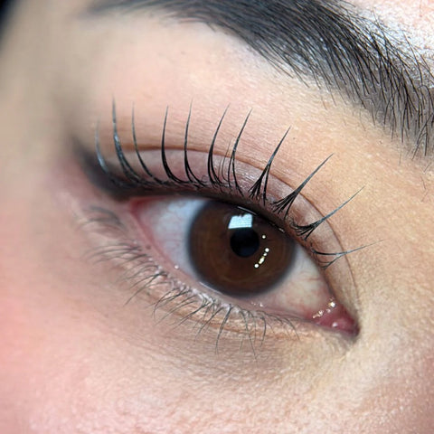 THE LASH SHOP x TINI - KOREAN LASHLIFT COURSE IN MONTREAL