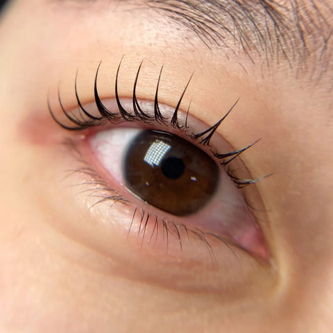 THE LASH SHOP x TINI - KOREAN LASHLIFT COURSE IN MONTREAL