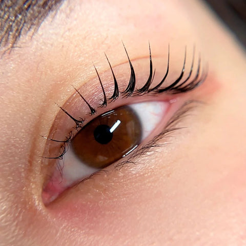 THE LASH SHOP x TINI - KOREAN LASHLIFT COURSE IN MONTREAL